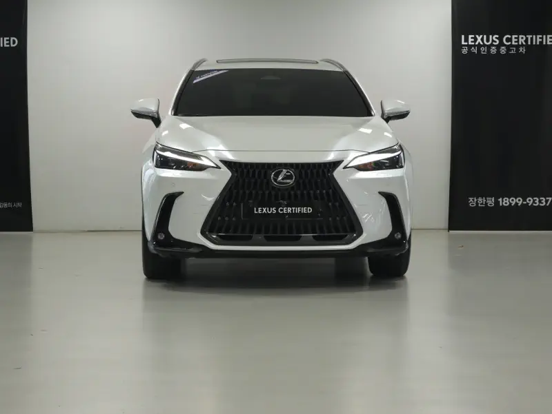 Lexus NX450h+