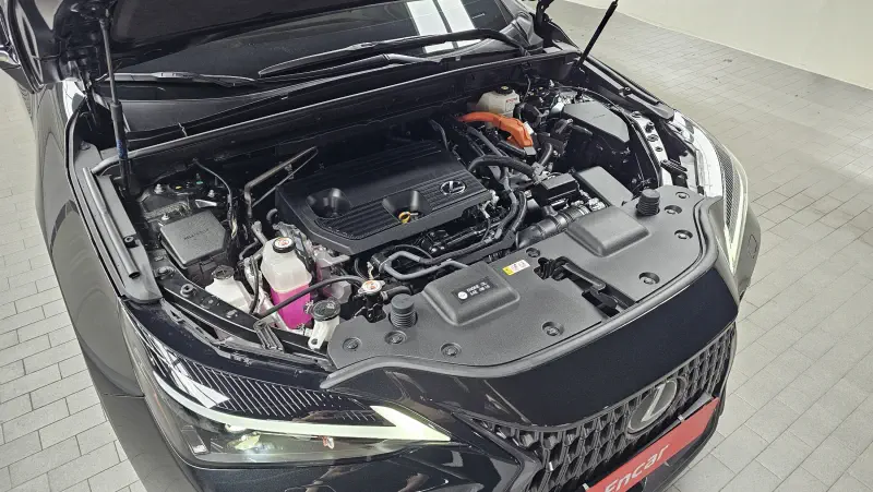 Lexus NX350h