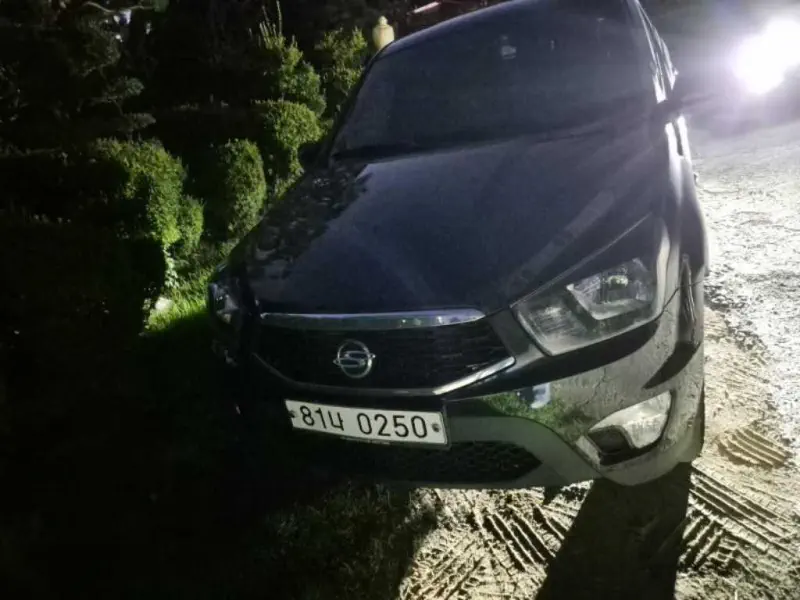 Купить SsangYong KORANDO Gyeonggi из Кореи