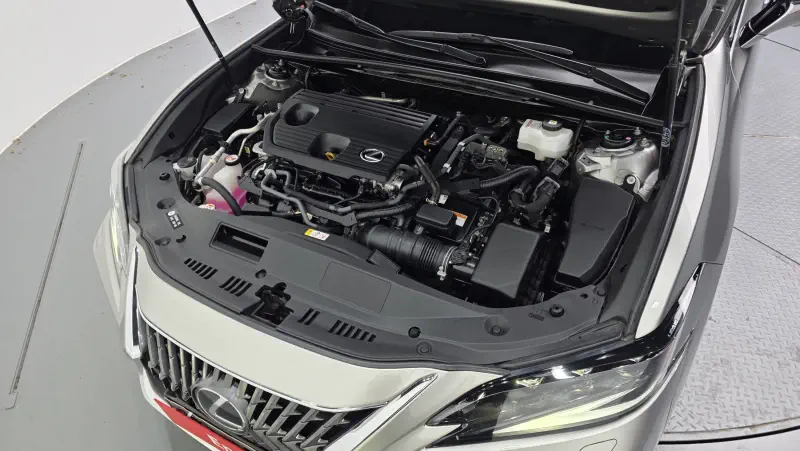 Lexus ES300h