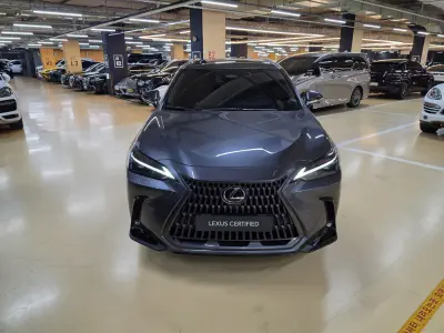 Lexus NX450h+