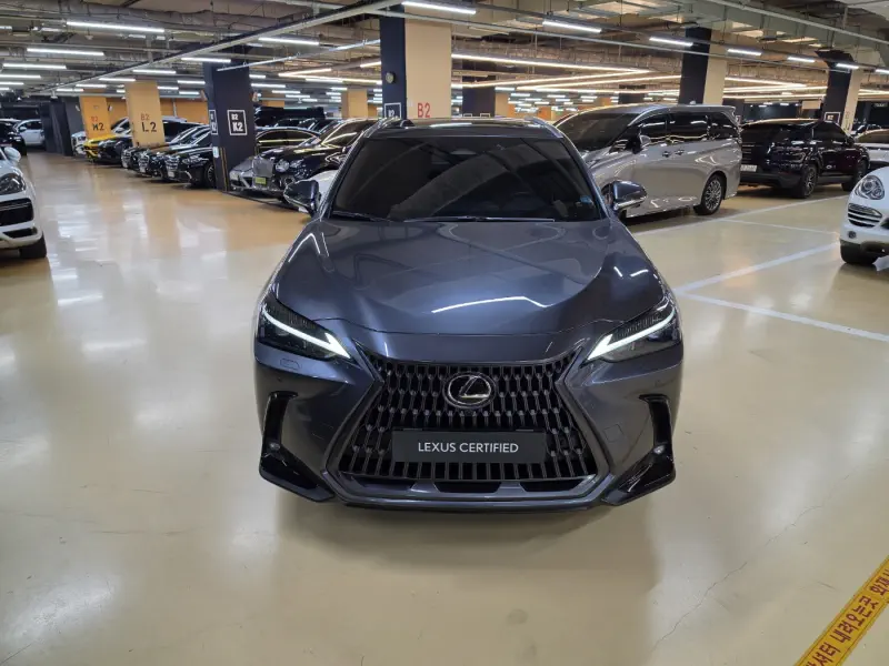 Lexus NX450h+