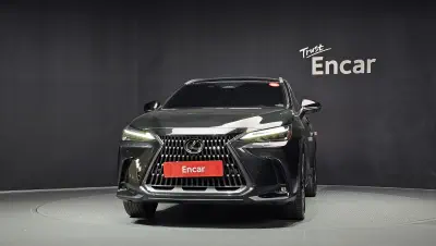 Lexus NX350h 3