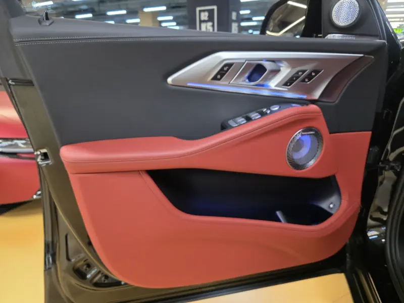 BMW XM