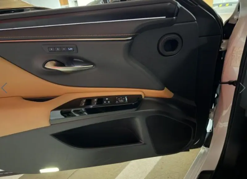 Lexus ES300h